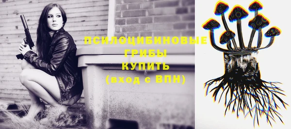 прущие крисы Медногорск