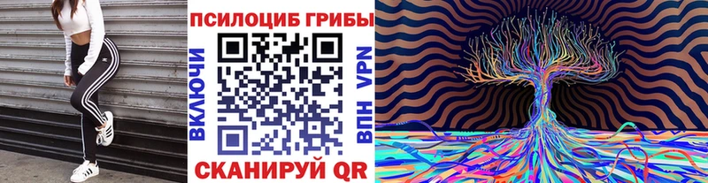 Галлюциногенные грибы MAGIC MUSHROOMS  продажа наркотиков  Томмот 